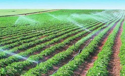 老骚屄女人挨肏农田高 效节水灌溉